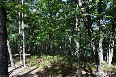 01 Hanging Rock Forest Road #Tract D (14ac), Danbury, NC 27016 - Photo 6