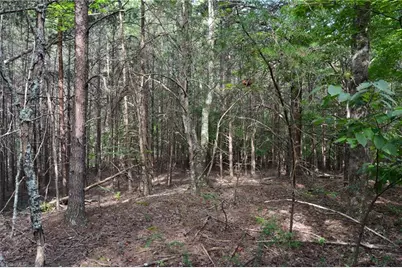 02 Hanging Rock Forest Road #Tract E (10.8), Danbury, NC 27016 - Photo 6