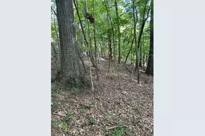 0000 Jewell Road, Reidsville, NC 27320 - Photo 4