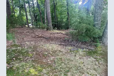 140 View Point Drive, Traphill, NC 28685 - Photo 4