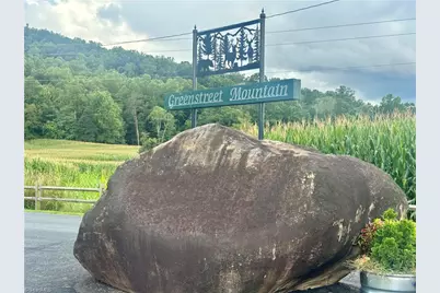 140 View Point Drive, Traphill, NC 28685 - Photo 8