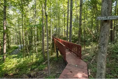 530 Alleghany Spur Road, Traphill, NC 28689 - Photo 28