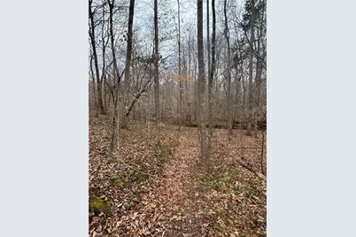 3902 Chucks Court, Burlington, NC 27215 - Photo 38