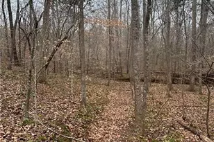 3902 Chucks Ct, Burlington, NC 27215 - Photo 38