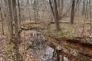 3902 Chucks Ct, Burlington, NC 27215 - Photo 40