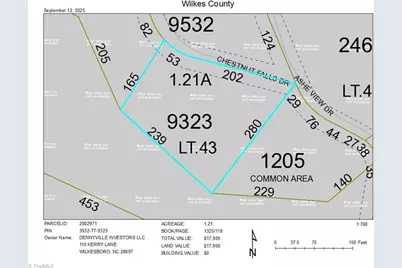 43 Chestnut Falls Drive, Millers Creek, NC 28651 - Photo 4