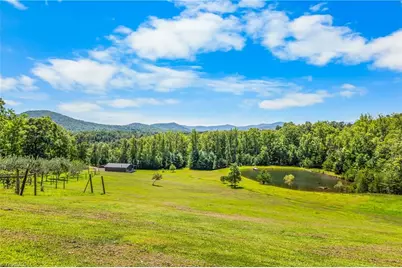 246 & 252 Bear Trail, Lowgap, NC 27024 - Photo 24