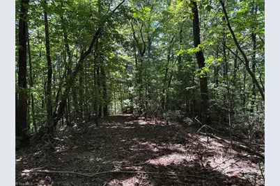 Lot 102 & 103 Hickory Hollow Road, Purlear, NC 28665 - Photo 14