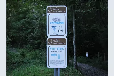 Lot 102 & 103 Hickory Hollow Road, Purlear, NC 28665 - Photo 32