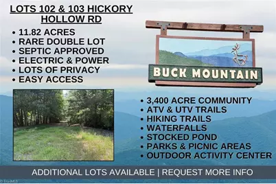 Lot 102 & 103 Hickory Hollow Road, Purlear, NC 28665 - Photo 1
