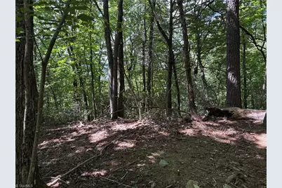 Lot 102 & 103 Hickory Hollow Road, Purlear, NC 28665 - Photo 16