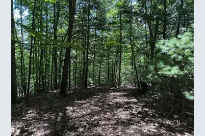 Lot 102 & 103 Hickory Hollow Road, Purlear, NC 28665 - Photo 18