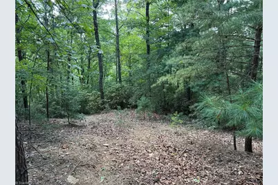 Lot 102 & 103 Hickory Hollow Road, Purlear, NC 28665 - Photo 2