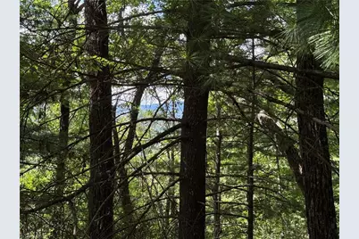 Lot 102 & 103 Hickory Hollow Road, Purlear, NC 28665 - Photo 8