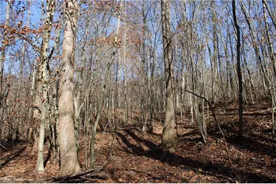 1662 Ralph Joyce Road, Sandy Ridge, NC 27046 - Photo 34