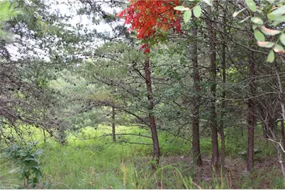 00 Ralph Joyce Road, Sandy Ridge, NC 27046 - Photo 1