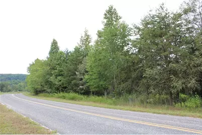 00 Ralph Joyce Road, Sandy Ridge, NC 27046 - Photo 2
