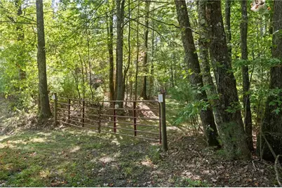 0 Mertie Road, Millers Creek, NC 28651 - Photo 14
