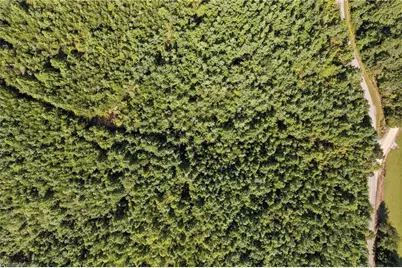 0 Mertie Road, Millers Creek, NC 28651 - Photo 30