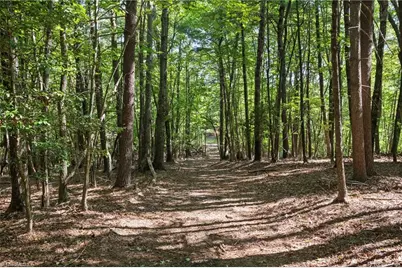 0 Mertie Road, Millers Creek, NC 28651 - Photo 8