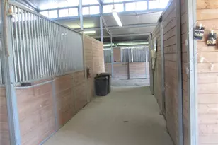 3421 Suits Rd, Gibsonville, NC 27249 - Photo 36