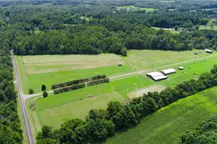 3421 Suits Rd, Gibsonville, NC 27249 - Photo 12