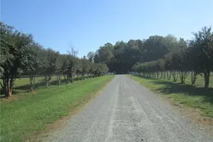 3421 Suits Rd, Gibsonville, NC 27249 - Photo 20