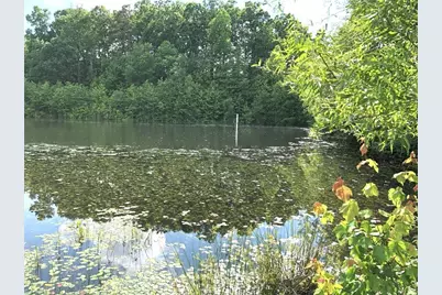 1670 Frank Hulin Road, Lexington, NC 27295 - Photo 4