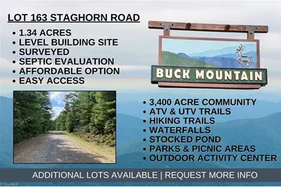 Lot 163 Staghorn Road, Purlear, NC 28665 - Photo 1