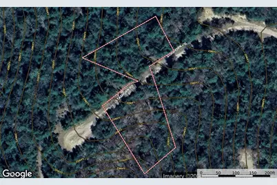 Lot 163 Staghorn Road, Purlear, NC 28665 - Photo 14