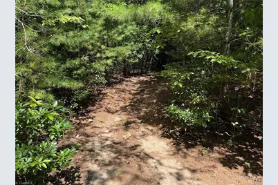 Lot 163 Staghorn Road, Purlear, NC 28665 - Photo 8