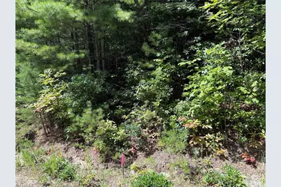 Lot 163 Staghorn Road, Purlear, NC 28665 - Photo 12