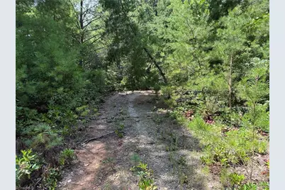 Lot 163 Staghorn Road, Purlear, NC 28665 - Photo 2