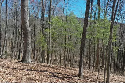 240 Olde Stone Drive, Crumpler, NC 28617 - Photo 6