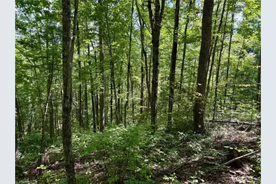 240 Olde Stone Drive, Crumpler, NC 28617 - Photo 28