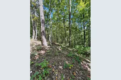 240 Olde Stone Drive, Crumpler, NC 28617 - Photo 36