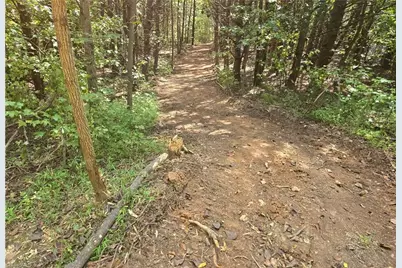 Lot 3 Cart Drive, Reidsville, NC 27320 - Photo 4