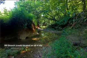 4966 Red Pne Ln, Pfafftown, NC 27040 - Photo 14