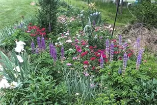 1803 Fleming Rd, Greensboro, NC 27410 - Photo 32