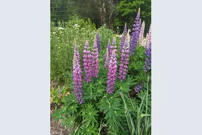 1803 Fleming Road, Greensboro, NC 27410 - Photo 28