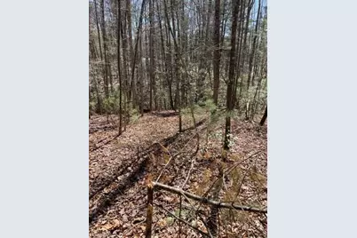 Lot #18 Blue Mountain Drive, Wilkesboro, NC 28697 - Photo 6