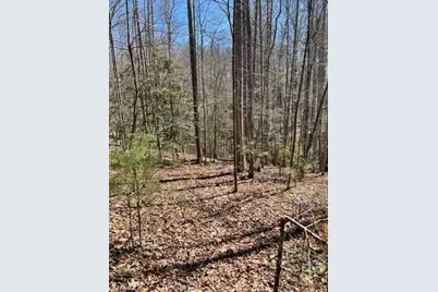 Lot #18 Blue Mountain Drive, Wilkesboro, NC 28697 - Photo 8