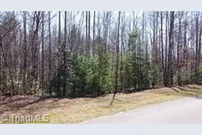 Lot #18 Blue Mountain Drive, Wilkesboro, NC 28697 - Photo 1