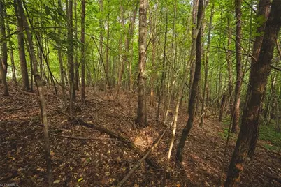 Tbd Johnson Ridge Road, Elkin, NC 28621 - Photo 4