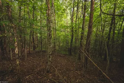 Tbd Johnson Ridge Road, Elkin, NC 28621 - Photo 12