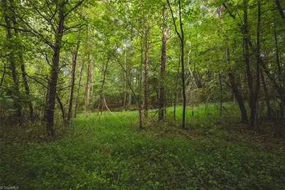 Tbd Johnson Ridge Road, Elkin, NC 28621 - Photo 6