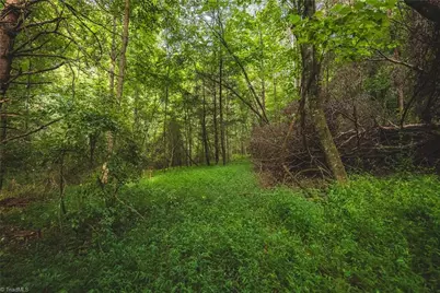 Tbd Johnson Ridge Road, Elkin, NC 28621 - Photo 10
