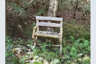 60 Jonathan Drive, Lowgap, NC 27024 - Photo 1