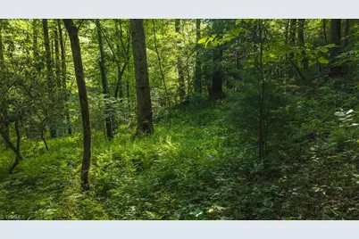 Tbd Brushy Mountain Road, Moravian Falls, NC 28654 - Photo 14