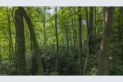 Tbd Brushy Mountain Road, Moravian Falls, NC 28654 - Photo 12